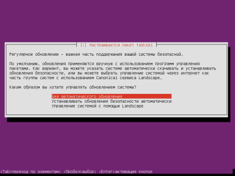 Установка Ubuntu 12.04 Server, закончили разбивку винчестера, отключаем автоматическое обновление