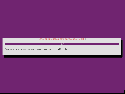 Установка Ubuntu 12.04 Server, закончили разбивку винчестера, идет процесс установки загрузчика Grub