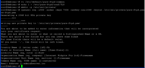 Установка FTP сервера PureFTPD для хостинг панели ISPConfig 3