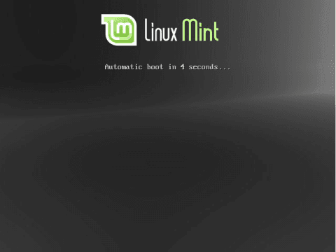 Руководство по установке Linux Mint 15 на компьютер - 1