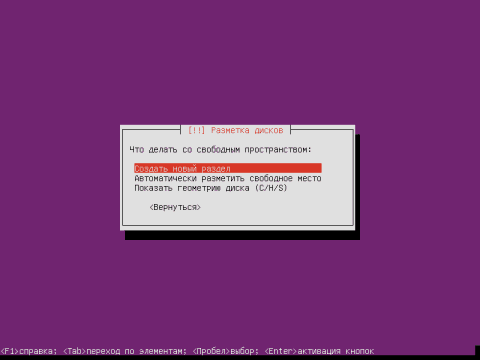 Установка сервера Ubuntu 14.04 LTS Server - разметка диска - 19