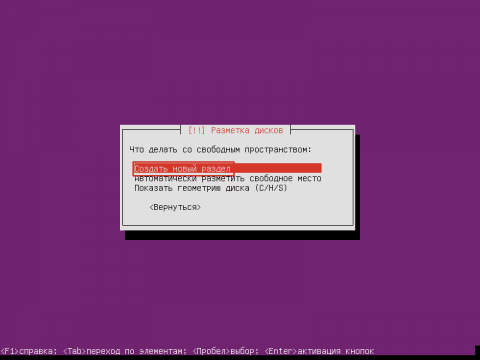 Установка сервера Ubuntu 14.04 LTS Server - разметка диска - 33