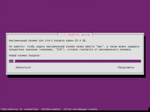 Установка сервера Ubuntu 14.04 LTS Server - разметка диска - 34