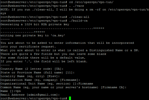 Настройка OpenVPN TUN для соединения локальных сетей - настройка OpenVPN в Debian Wheezy - 1