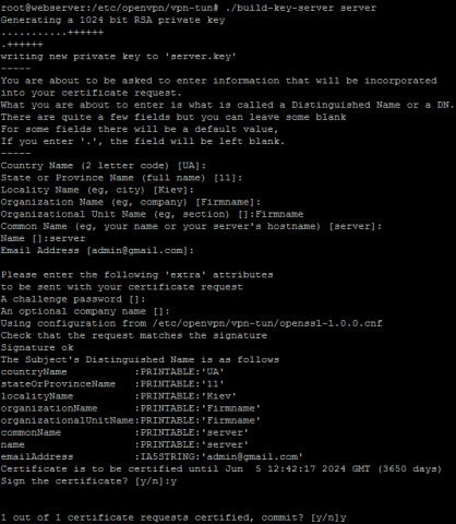 Настройка OpenVPN TUN для соединения локальных сетей - настройка OpenVPN в Debian Wheezy - 3
