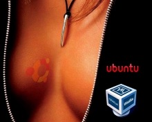 Ubuntu Server 12.04 на Virtualbox логотип