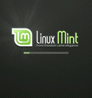 Linux für einen schwachen Computer