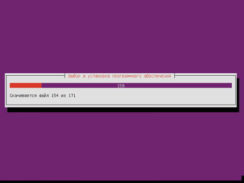 Установка Ubuntu 12.04 Server, закончили разбивку винчестера, идет процесс установки