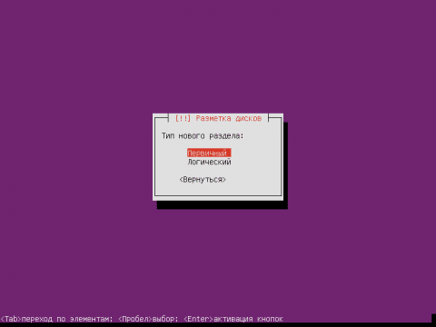 Установка сервера Ubuntu 14.04 LTS Server - разметка диска - 21
