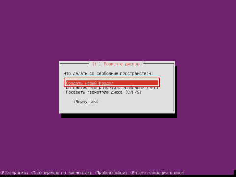 Установка сервера Ubuntu 14.04 LTS Server - разметка диска - 27
